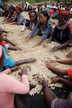 Load image into Gallery viewer, Hunkute, Washed Heirloom Cultivars, Ethiopia