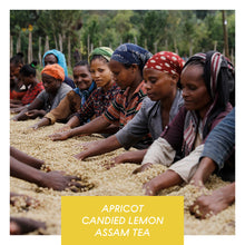 Load image into Gallery viewer, Hunkute, Washed Heirloom Cultivars, Ethiopia