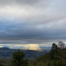 Load image into Gallery viewer, Los Altares, Anaerobic Natural Caturra, Guatemala
