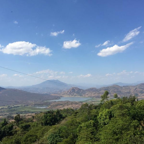 El Sunzita - Yellow Bourbon,  El Salvador