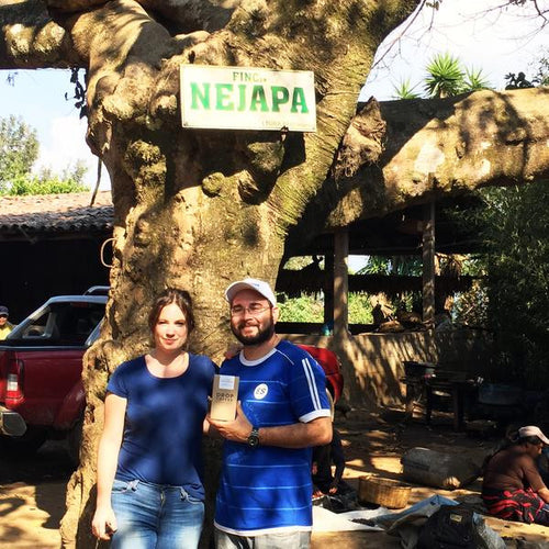 Finca Nejapa  - Yellow Caturra, El Salvador