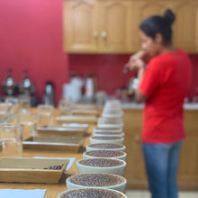 Load image into Gallery viewer, La Fany, Washed Pacamara, El Salvador
