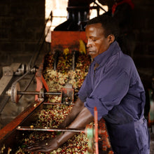 Load image into Gallery viewer, Hunkute, Washed Heirloom Cultivars, Ethiopia
