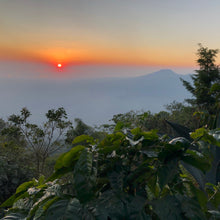 Load image into Gallery viewer, Los Andes, Natural Bourbon, El Salvador
