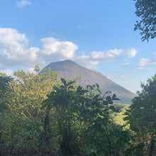 Load image into Gallery viewer, Los Andes, Natural Bourbon, El Salvador
