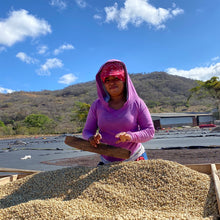 Load image into Gallery viewer, Limoncillo, Washed Caturra, Nicaragua
